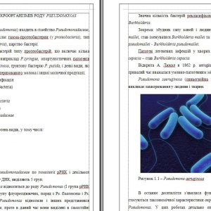 Общая микробиология и вирусология